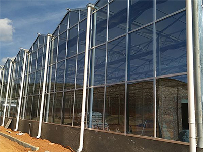 Greenhouse Project