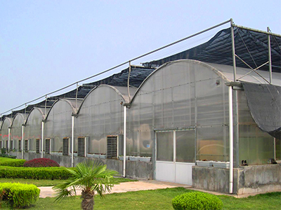 Multi-span film greenhouse
