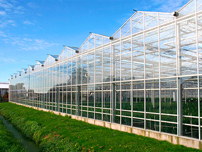 New glass greenhouse