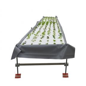 NFT growing system