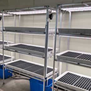 Agriculture hydroponic-indoor nursery rack