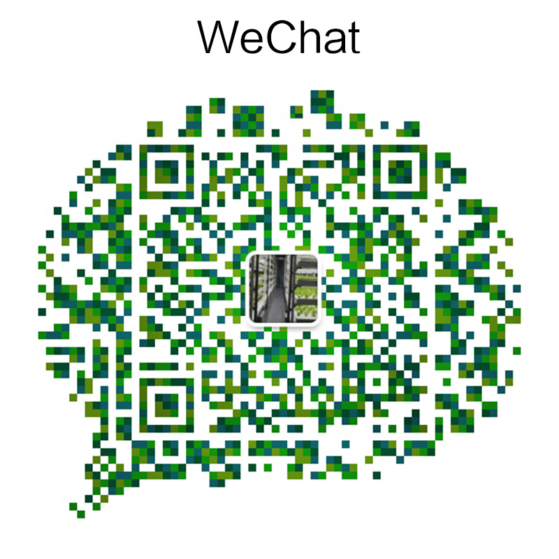 the qr code