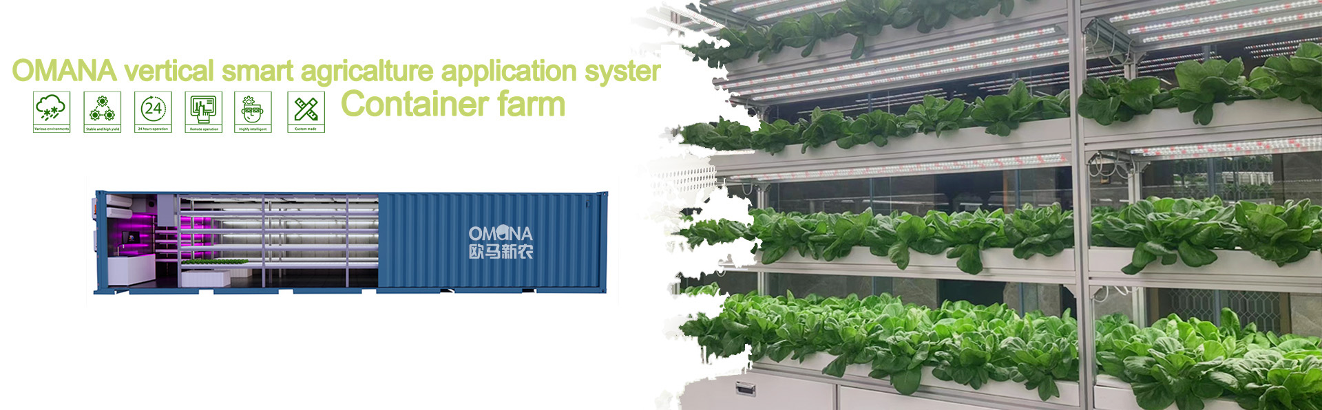 40HQ hydroponic container farming